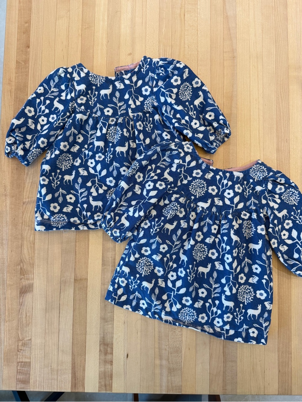 Baby Boden Blue Floral & Deer Print Puff Sleeve Dress - 2 Pack